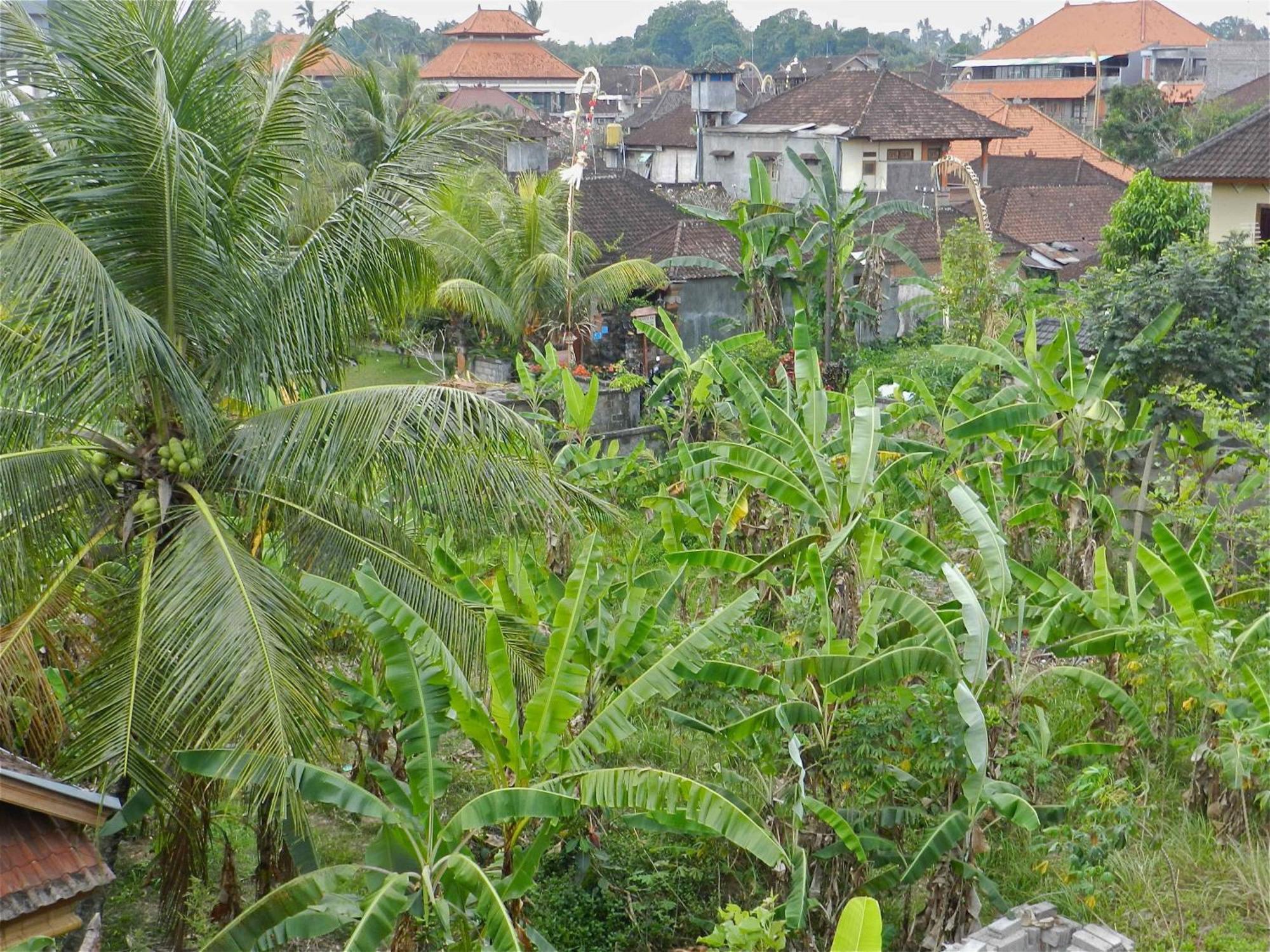 Kori Bali Inn I Ubud Eksteriør billede