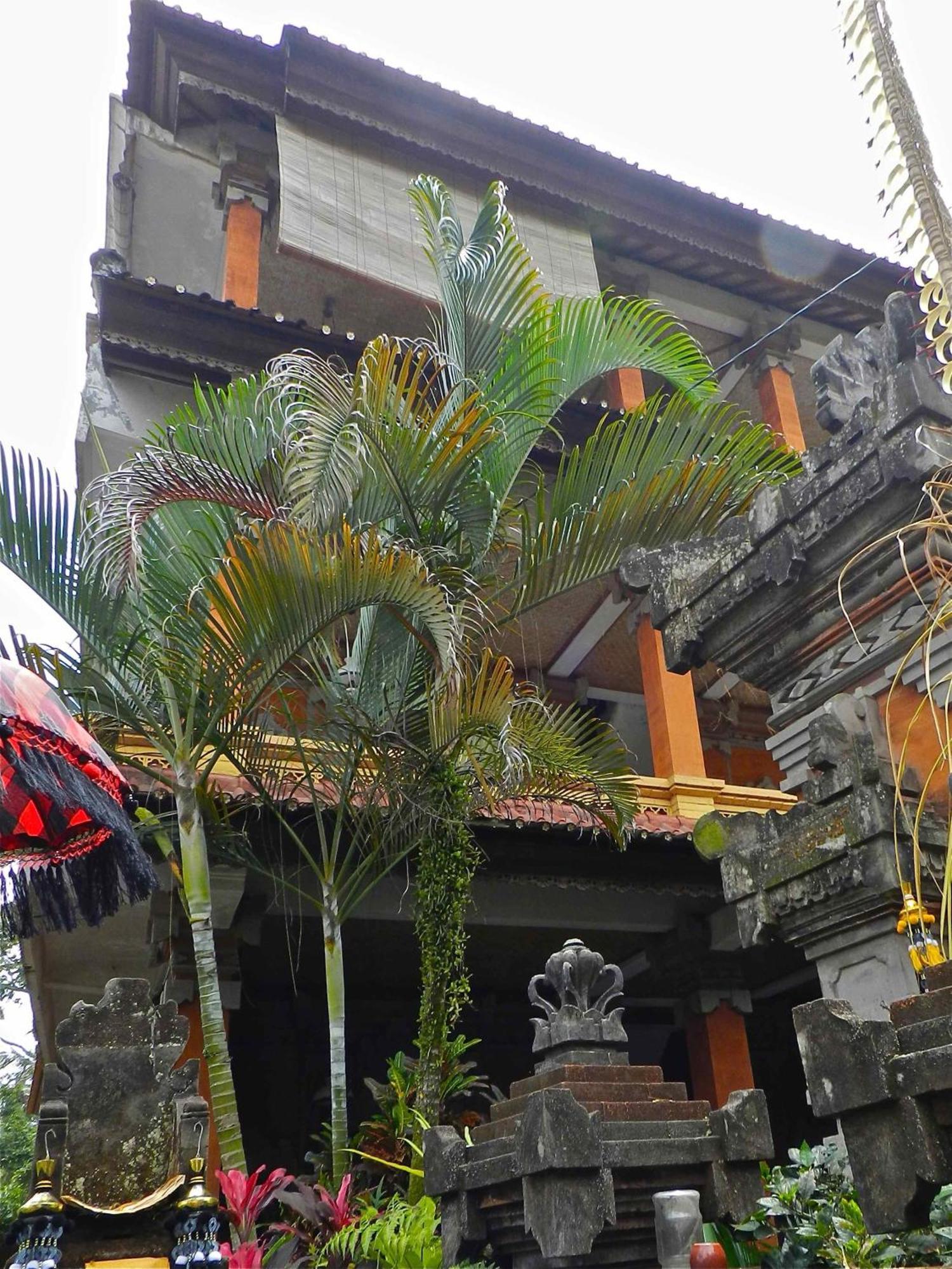 Kori Bali Inn I Ubud Eksteriør billede